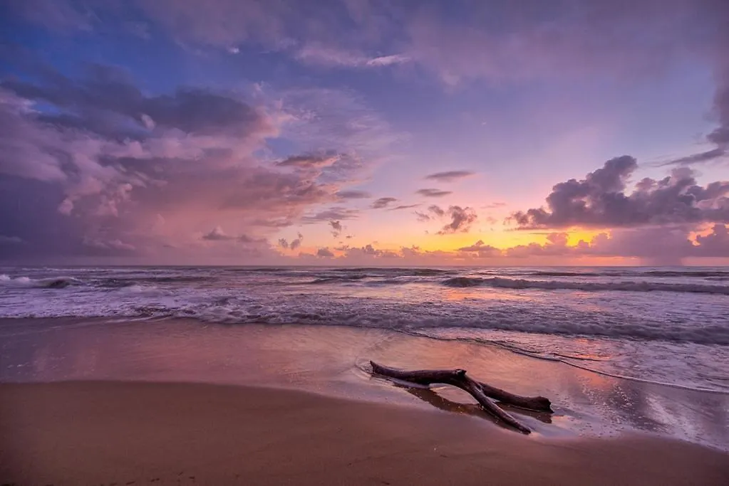 Amazing Ocean View Apartment With Grand Pool Cabarete